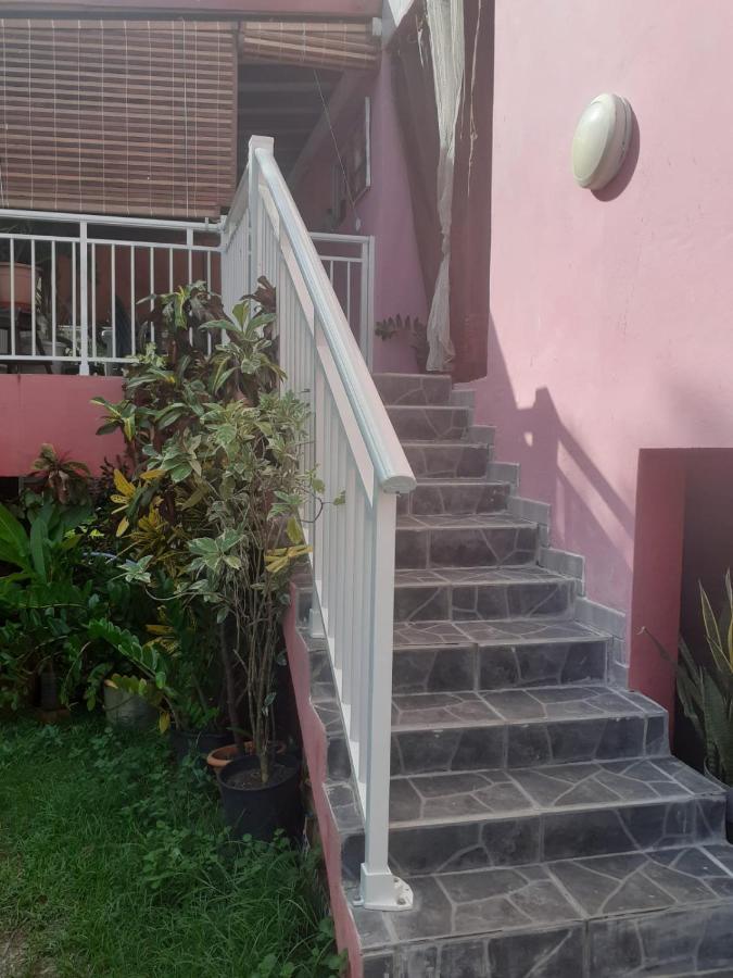 Sous Le Manguier Apartment Sainte-Anne Luaran gambar
